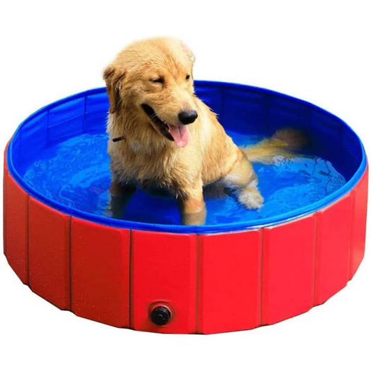 Piscina Plegable Para Mascota